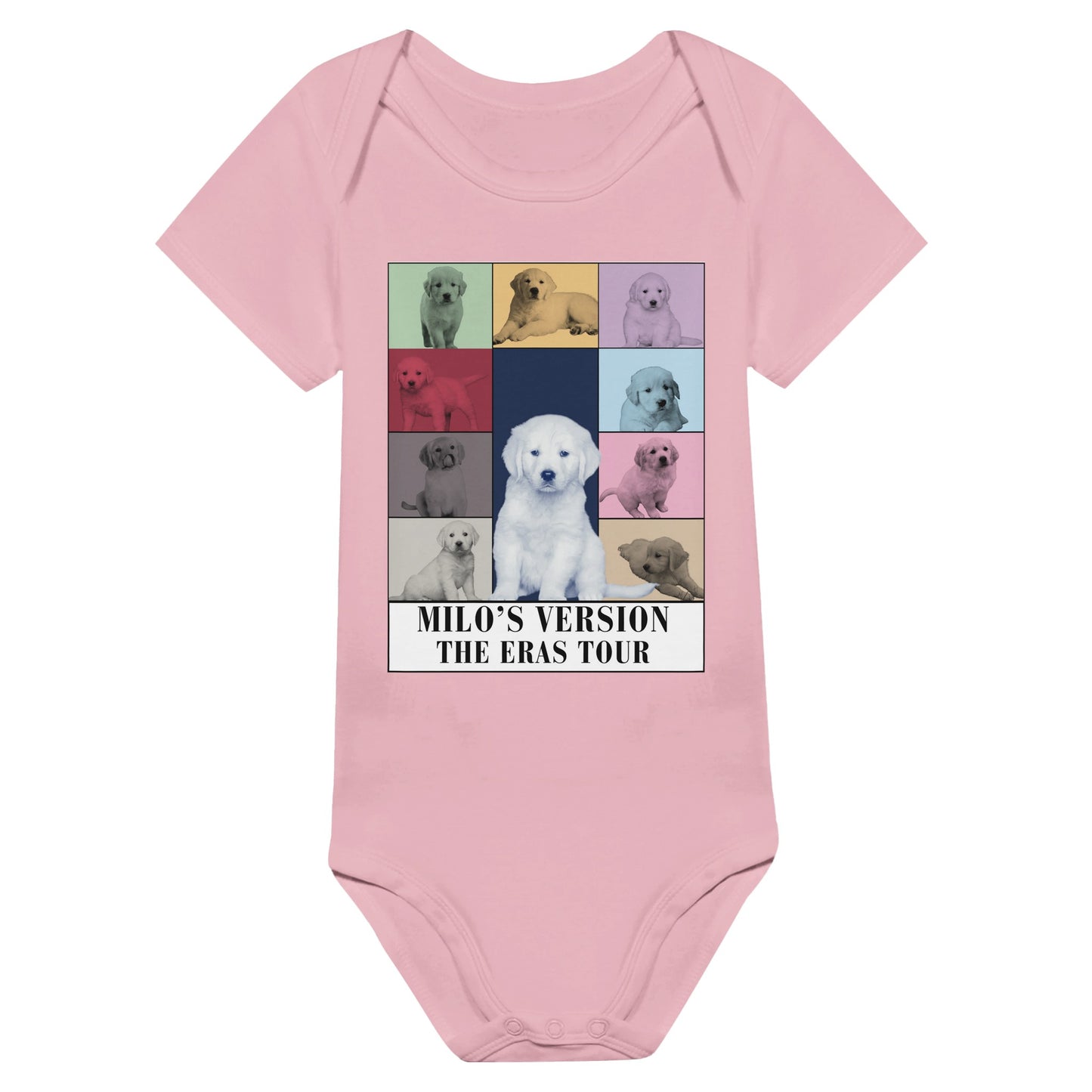 13f1d307-b6be-441f-9ec3-2a8ecf153d74