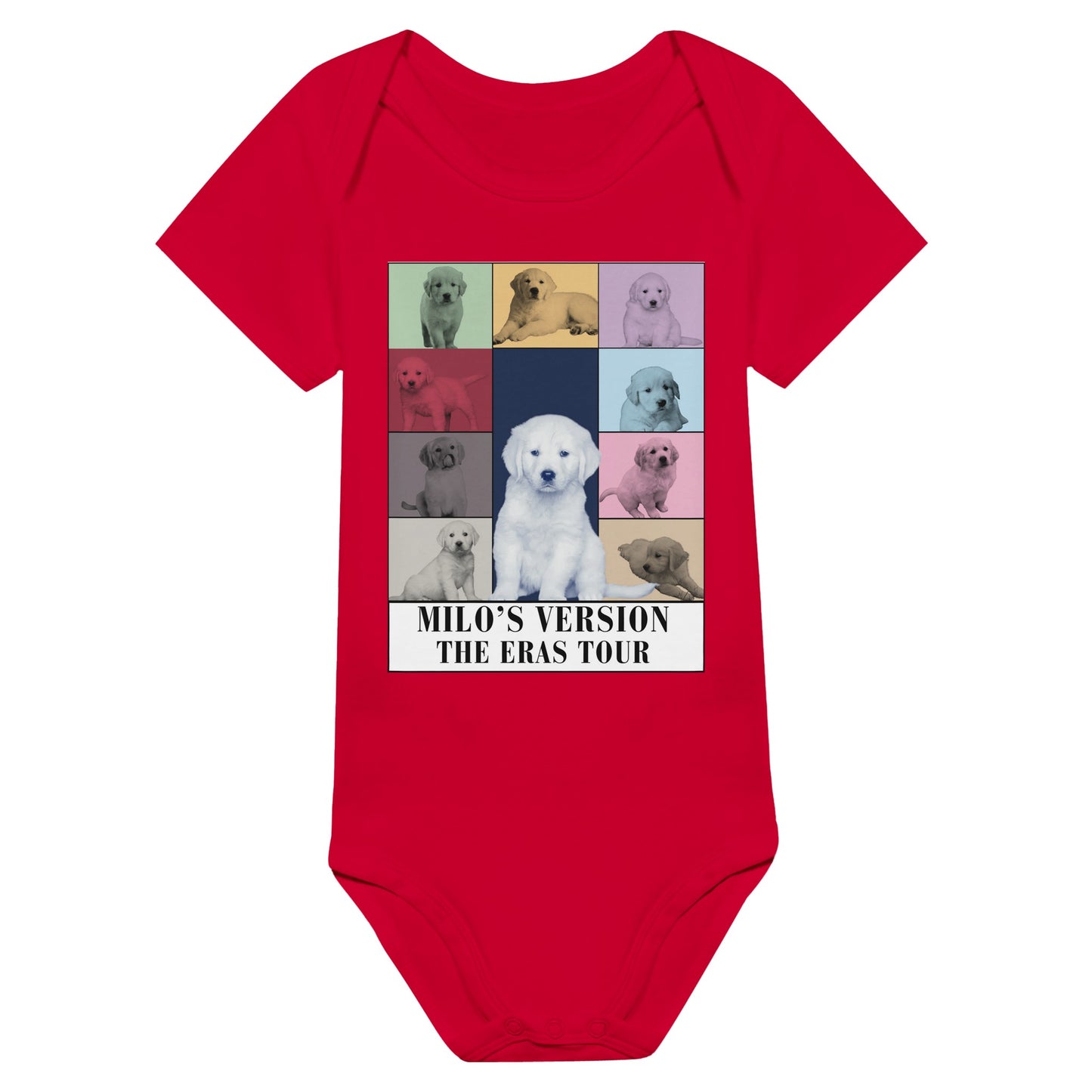 56919697-986d-46fd-aed5-70752e9e2377