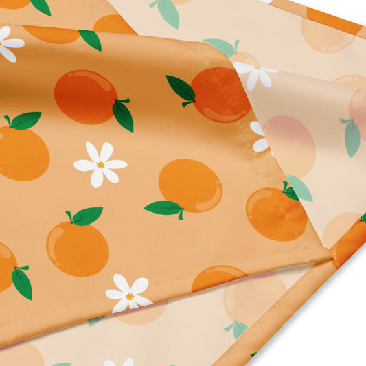 cute and trendy orange fruit matching dog pet bandana for dog moms and dog parents