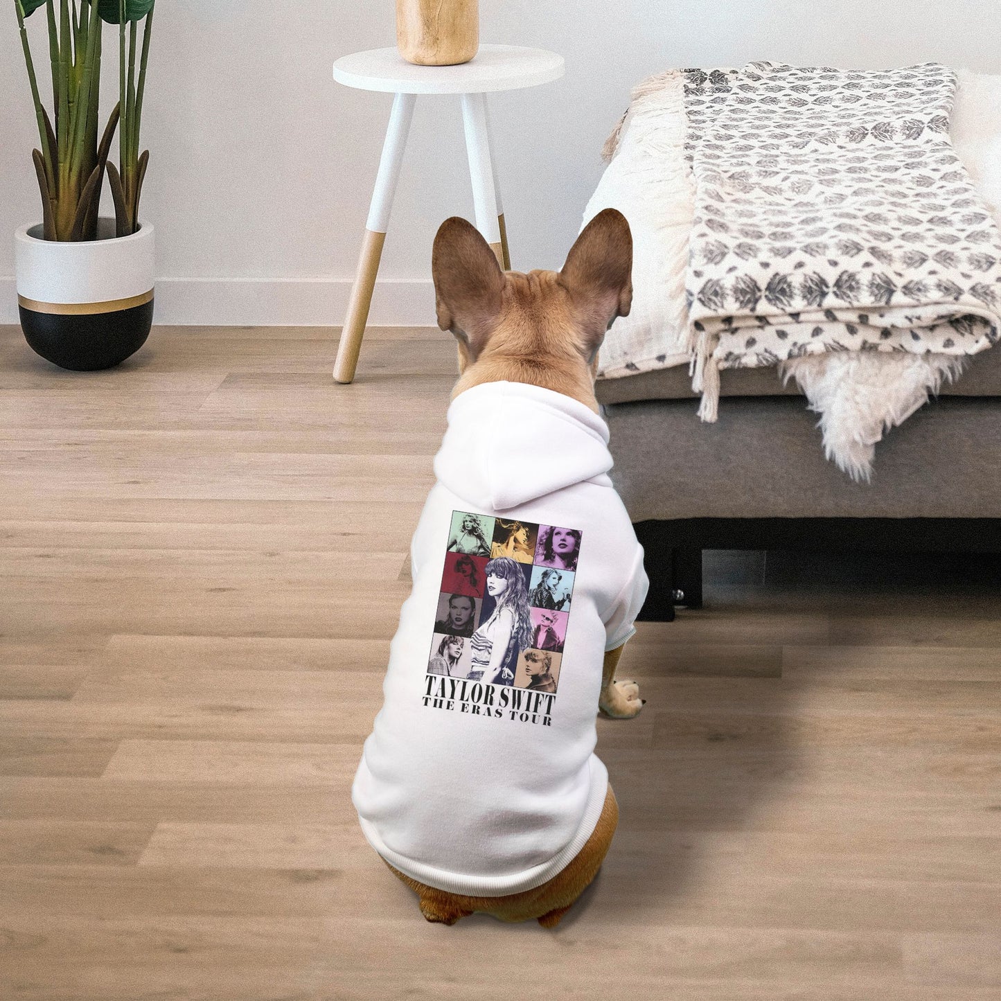 Taylor Swift Eras Tour Pet Hoodie -  Small Breeds