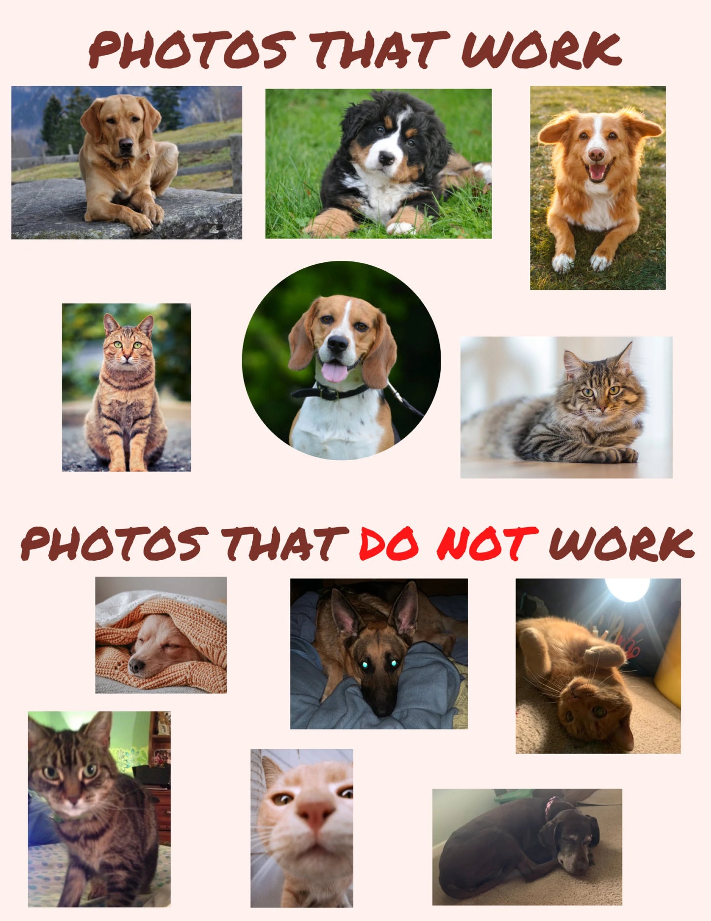 Custom Pet Can Coolers