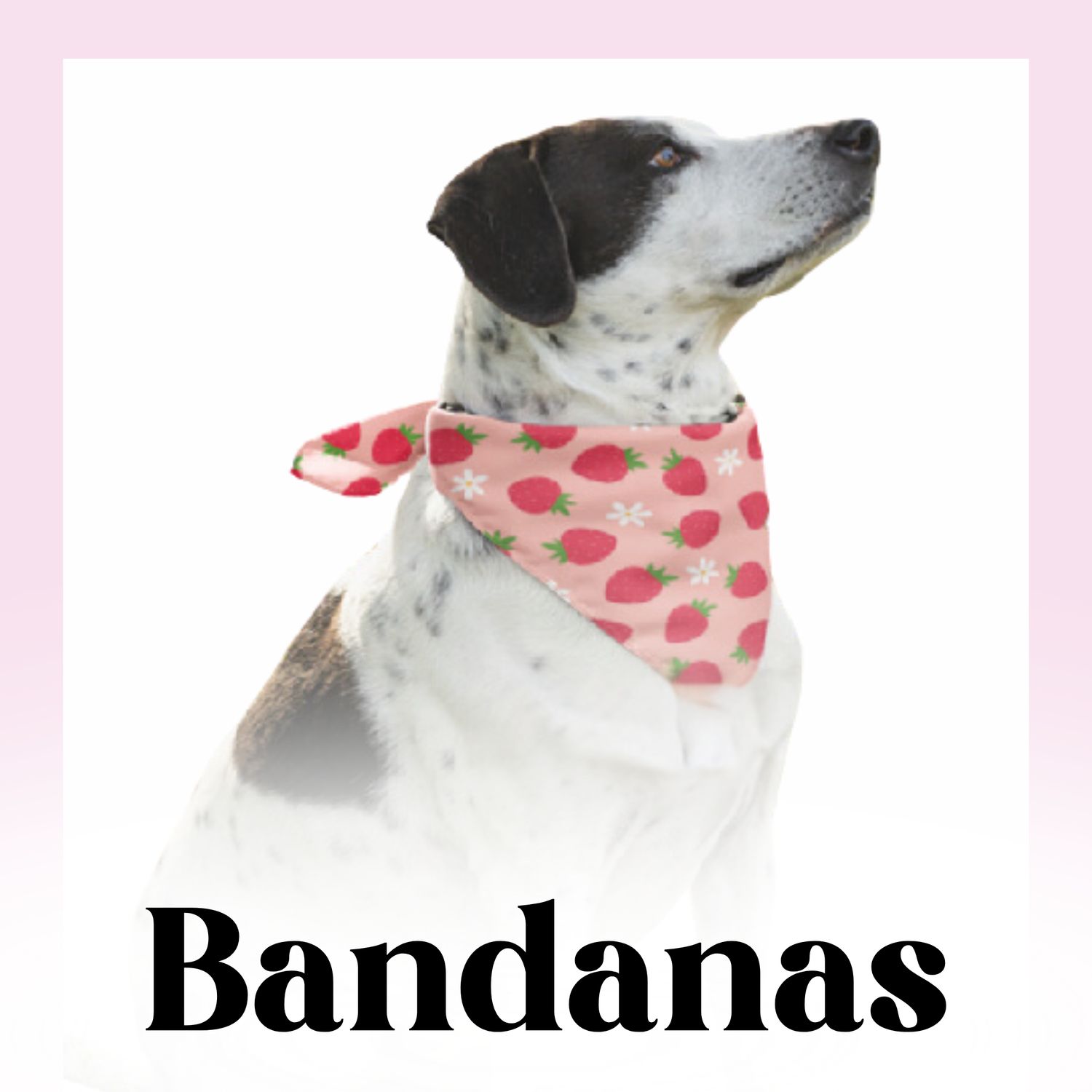 Bandanas