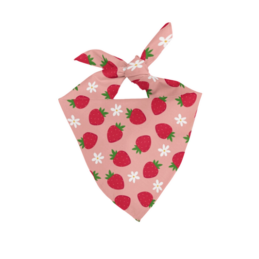 Strawberry Matching Pet Bandana