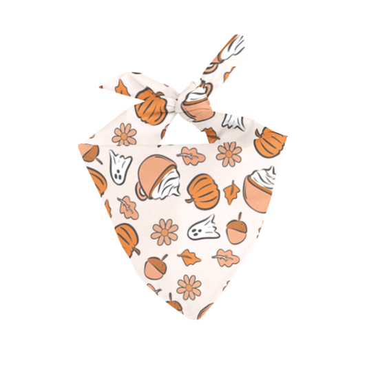 Pumpkin Spice Pet Bandana