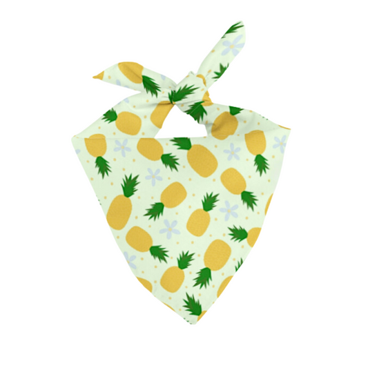 Pineapple Matching Pet Bandana