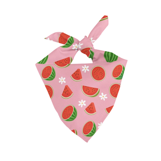 Watermelon Matching Pet Bandana